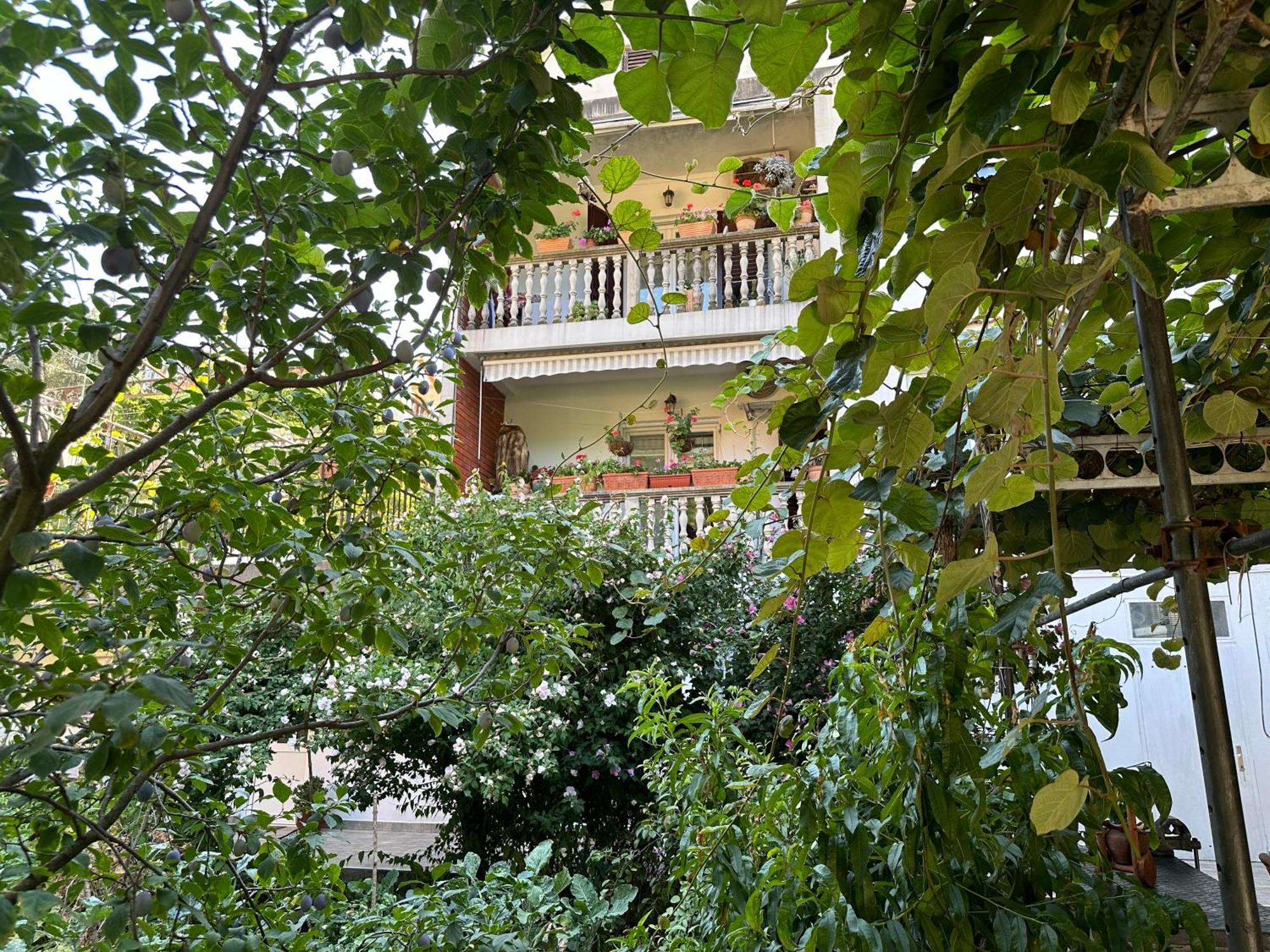 Apartments Suzana Herceg Novi Extérieur photo